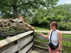 Santos family feeding a giraffe